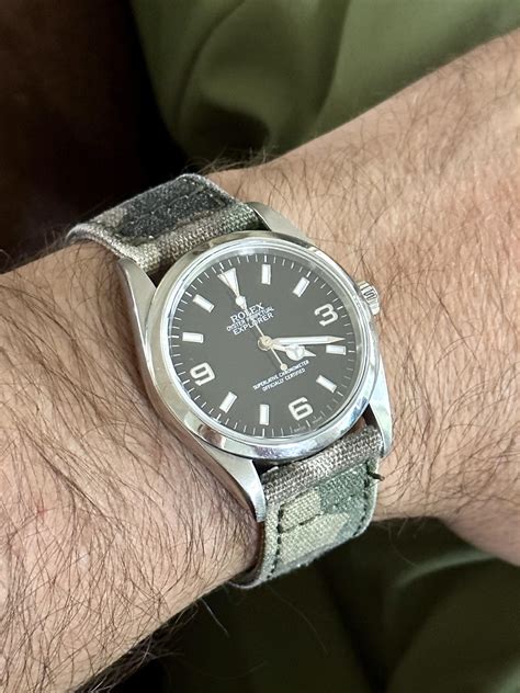best daily rolex